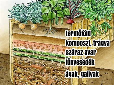 magaságyás feltöltve komposztált földdel
