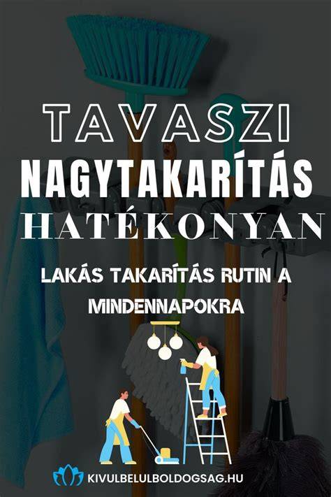 Infografika a lakás nagytakarítás árazási tényezőiről: méret, gyakoriság, állapot, extrák