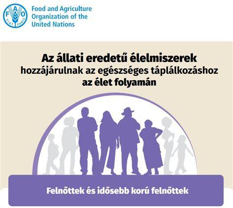 Infografika: A magyar rendelet hatóköre és az ellenőrzések ütemezése