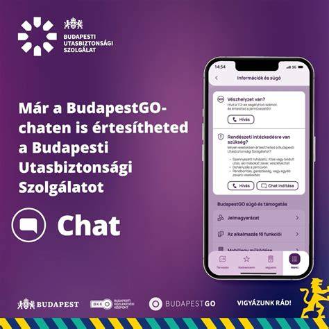 Infografika a budapesti garzonlakások átlagos méreteiről, közlekedési kapcsolatairól és árazási kategóriákról