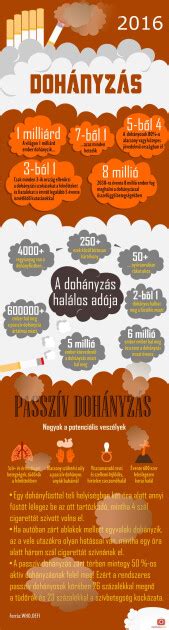 Infografika: Szerepek a társasházkezelésben és dohányzás befolyásolása