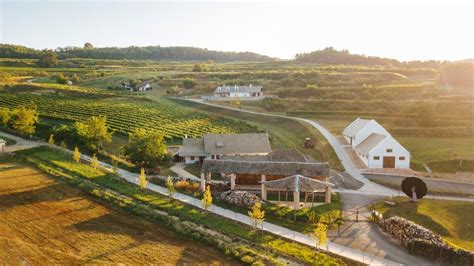 A Bodri Pincészet 12 kupolás pincéje