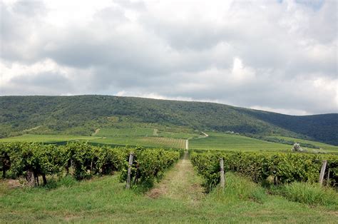 szőlőskabin kilátással a Kis-Balaton felé