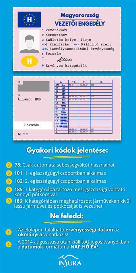 Számozási rendszer és kódok