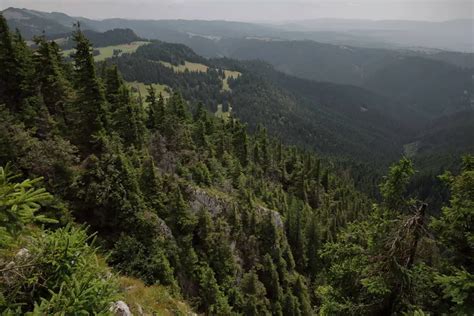 Hegyek az erdélyi Gyimes környékén. A székelység őrizte meg sokáig leginkább a honfoglalás előtti társadalmunk rendszerét