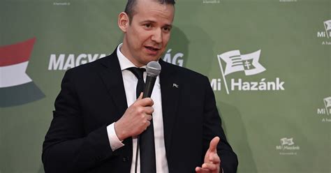 Két magyar három politikai párt