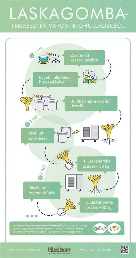 Infografika: galériás megoldások a nagy belmagasságú lakásokban