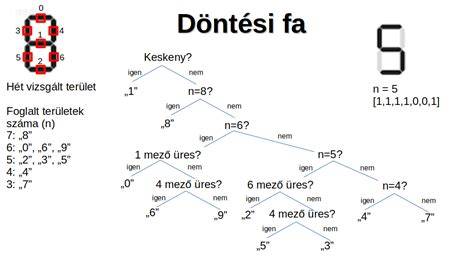 Infografika: adózási útvonalok döntési fa