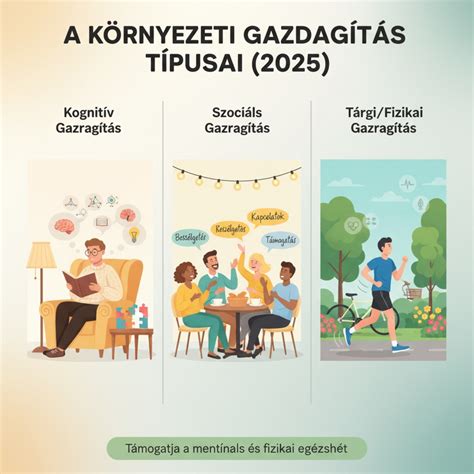 Infografika: A szolgáltatóház alaprajza és a környezeti kapcsolatok