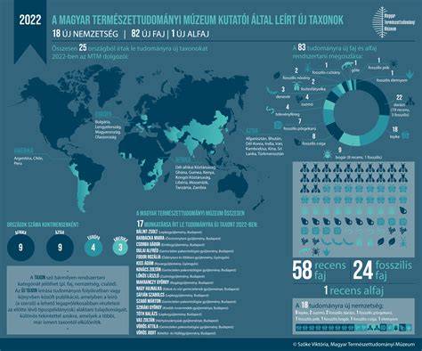 Infografika: Rábatamási lakóingatlan állománya és átlagos alapterületek