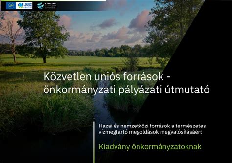 Képernyőkép: helyi önkormányzati pályázati feltételek