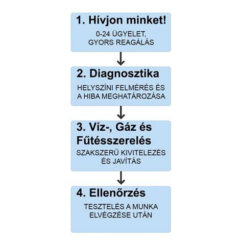 Profi csapat és szolgáltatások
