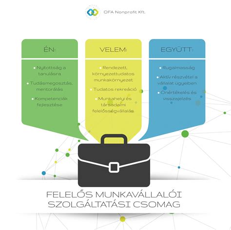 Infografika: Cégstruktúra és szolgáltatási portfólió