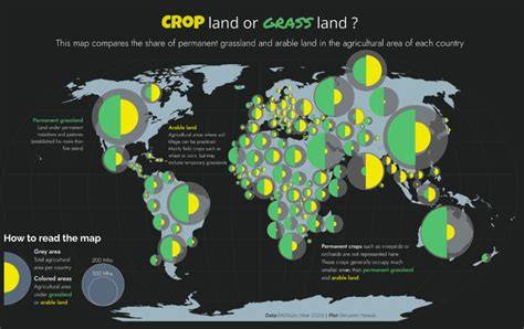 Cartogram: A saját/hozzátartozó tevékenységek hatásai a projektkockázatokra