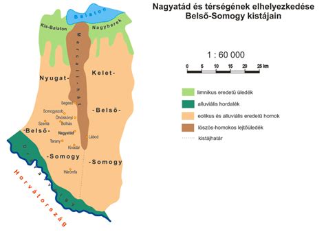 Infografika: Vertesszőlős környéki szőlőterületek elhelyezkedése és talajadottságok
