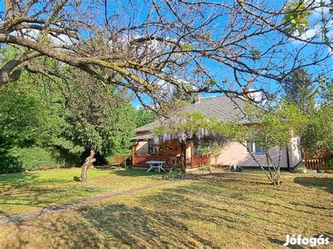 földszintes családi ház kerttel