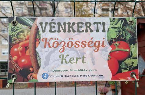 Csinszka kert közösségi tér és zöld oázis