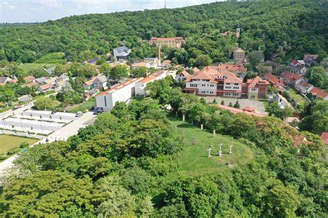 Környezetkép Tinnyéről: zöld területek és csendes utcák