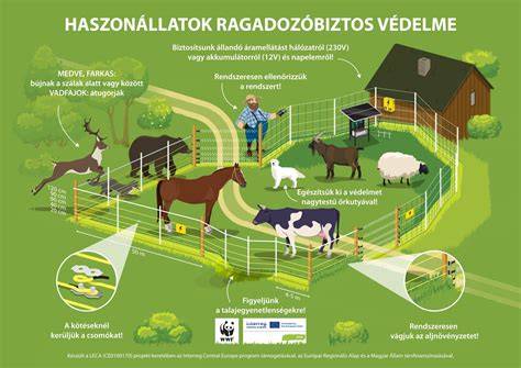 Infografika: Telek adottságai és ütemezett fejlesztési lehetőségek a Takácskertben