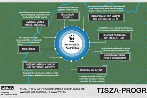 infografika_a_tetoszerkezet_reszletei