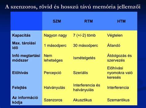 Infografika: Rövid és hosszú távú tehergépkocsi bérbeadás szabályai