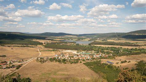 budakeszi_természet_zichy_park