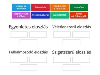 Mapa: Térbeli eloszlás a NET által megvásárolt ingatlanok körében