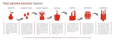 Infografika: bérbeadási folyamat lépései