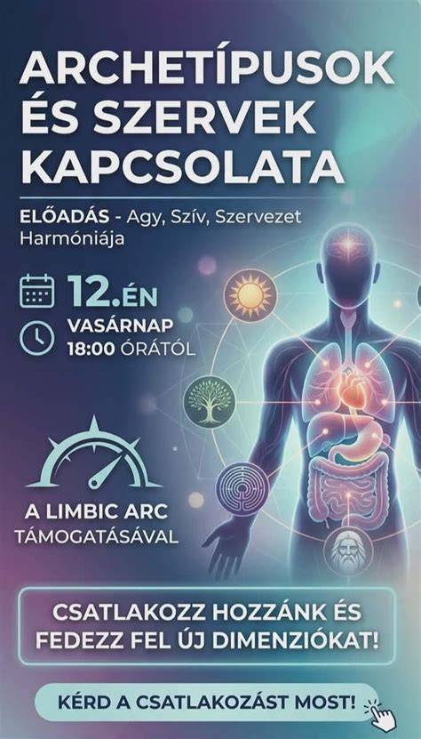 Szervrendszer: közös képviselő és kapcsolódó szervek kapcsolata