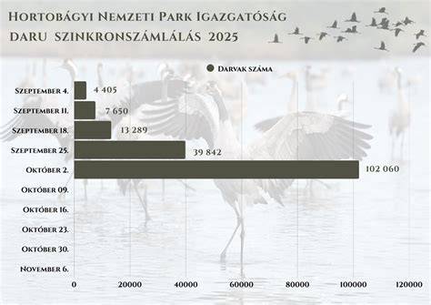 Majorszerű telepítés és tömegformálás példája Hortobágyon