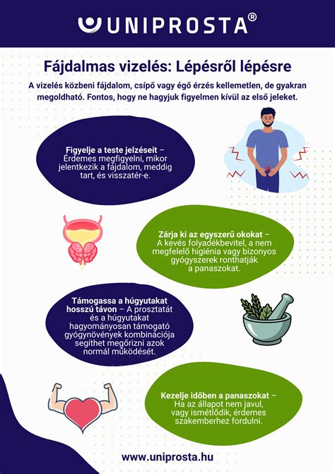 Infografika: Illetékkategóriák és mentességek áttekintése