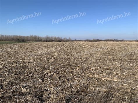 Termőföld művelés alatt