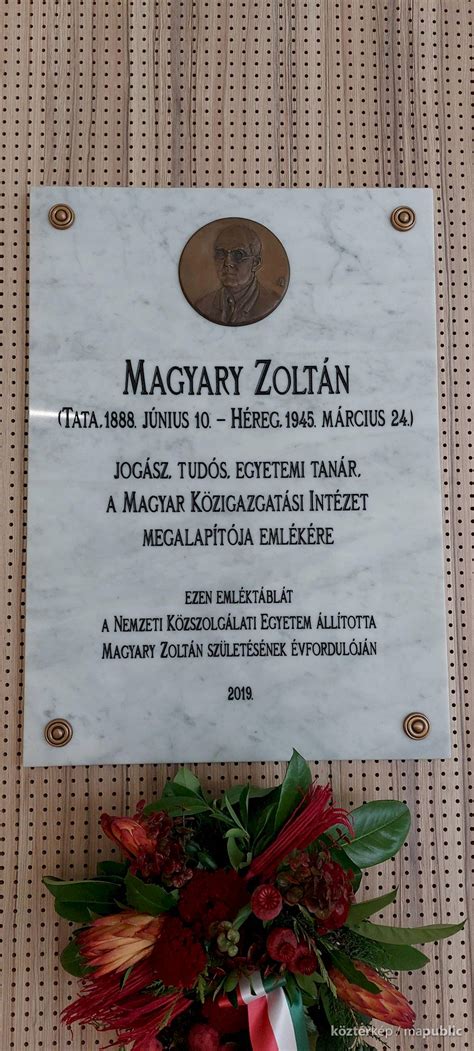 Tatabánya térkép a Magyary Zoltán utca és környékének szolgáltatásaival
