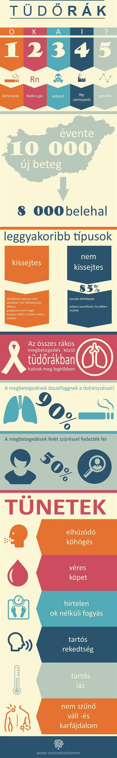 Infografika: Budai környezet és közlekedési kapcsolatok