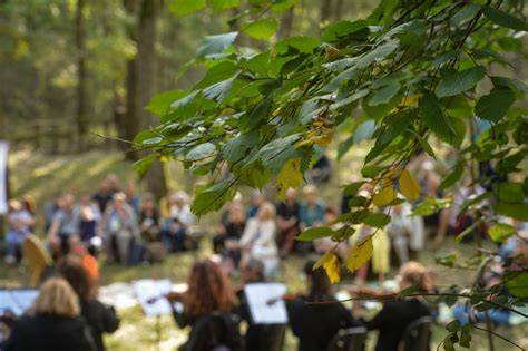 Nyári Balatonfüred hangulata: strandok, zene és kulturális események