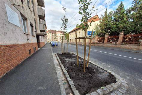 Logisztikai folyamatábra a Dózsa György utca ellátási környezetéről