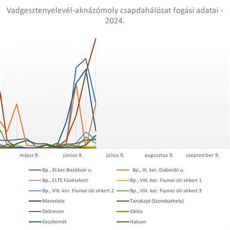 Séma a kölcsönös megfeleltetés rendszerének felépítéséről