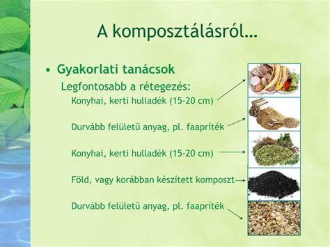 Érett komposzt