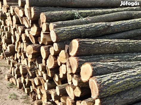 Anyaghasználati lehetőségek kerítés építéséhez