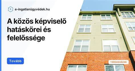 Közös képviselő képzése és felelőssége infographic