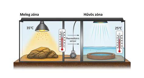 Kistársasházak áttekintő diagram
