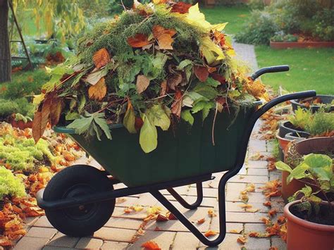 Zöldhulladék gyűjtése zöldzsákokban