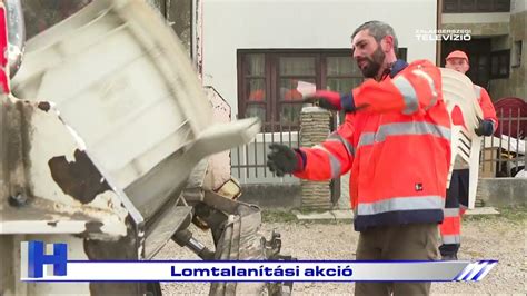 Lomtalanítási akció
