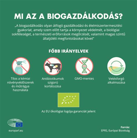 Infografika: Borospince szabályok és paraméterek