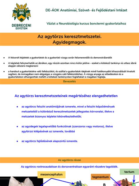 A hajótest különböző keresztmetszetei