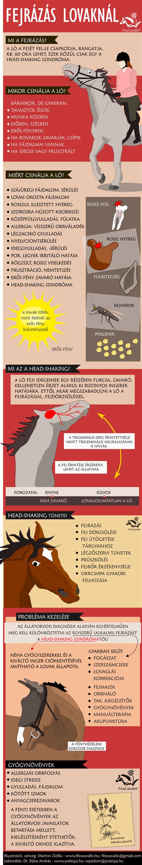 Infografika: Könnyűszerkezetes helikopter repülési és becsapódási zónái