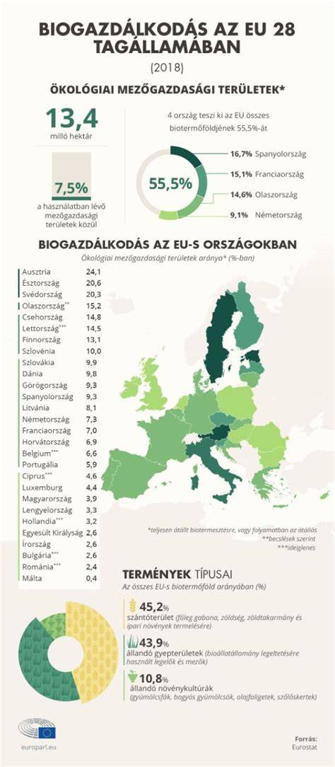 Infografika: Főbb mérföldkövek a termőföld kivonásának engedélyezési folyamatában
