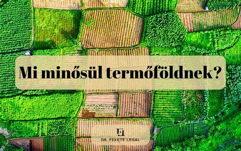Infografika: Összefoglaló a termőföld védelméről és engedélyezéséről