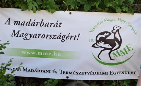Veszprém megyei székhely és tevékenység