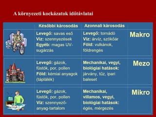 Diszno_szar_tartozas_kornyezeti_kockazatok_infografika